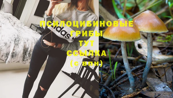 каннабис Володарск
